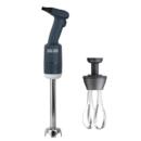 mikser-ruchnyj-goodfood-bl250vw-combi